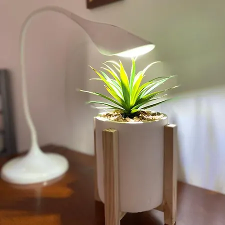 San Nicolo Appartamento